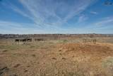 TBD State Highway 79 South - Photo 26