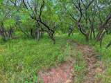 1570 Cr 383 - Photo 13