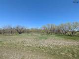 20 Acres Fm 2847 - Photo 1