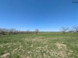 20 Acres Fm 2847 - Photo 3