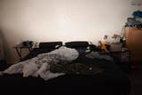 2940 Parish Street - Photo 9