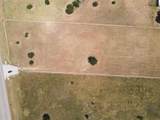 1413 Omega Street - Photo 6