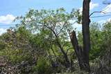 1970 Harding Street - Photo 8
