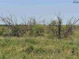 372 Buffalo Crest Trail - Photo 11