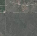 372 Buffalo Crest Trail - Photo 13