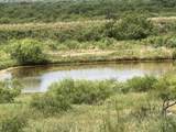 49.7 Acres Hwy 277 - Photo 12