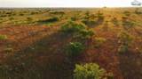 10731 Fm 2006 - Photo 16