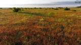 10731 Fm 2006 - Photo 19
