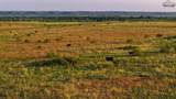 10731 Fm 2006 - Photo 24