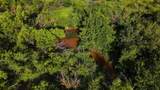  Terrapin Road - Photo 32