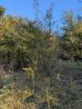 0 Hanson Road - Photo 11