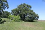 73 ACRES Deer Creek Road - Photo 1