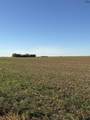4313 County Road - Photo 3