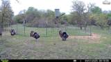 Tbd Tract 1 Sunset Lane - Photo 10