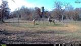 Tbd Tract 1 Sunset Lane - Photo 11