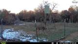Tbd Tract 1 Sunset Lane - Photo 12