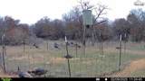 Tbd Tract 1 Sunset Lane - Photo 13