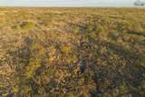 79 AC Fm 2393 - Photo 10