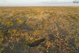 79 AC Fm 2393 - Photo 7