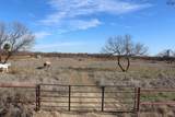 TBD Blue Heron Trail - Photo 1
