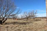 TBD Blue Heron Trail - Photo 10