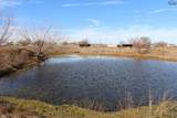 TBD Blue Heron Trail - Photo 11