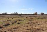 TBD Blue Heron Trail - Photo 16