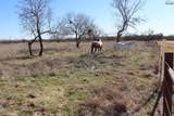 TBD Blue Heron Trail - Photo 5