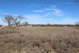 TBD Blue Heron Trail - Photo 7