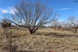 TBD Blue Heron Trail - Photo 8