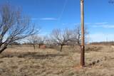 TBD Blue Heron Trail - Photo 9