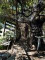 510 Pecan Street - Photo 14