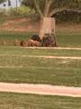 2424 Fm 1286 - Photo 21