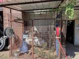 1106 Main Street - Photo 24