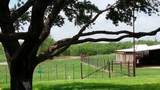 1005 Grossman Street - Photo 9