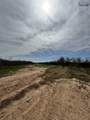 505 Pecanway Drive - Photo 3