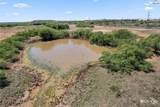 852 Mcnabb Rd - Photo 36