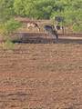 852 Mcnabb Rd - Photo 40