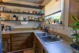1902 Tilden Street - Photo 7