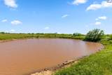 623.3 acres Hwy 81 - Photo 10