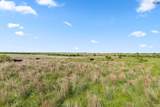 623.3 acres Hwy 81 - Photo 16