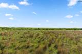 623.3 acres Hwy 81 - Photo 5