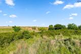 623.3 acres Hwy 81 - Photo 7