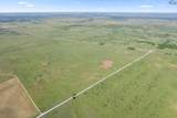 171.20 acres Hwy 81 - Photo 20