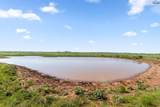 171.20 acres Hwy 81 - Photo 4