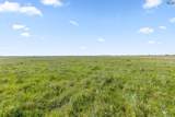 171.20 acres Hwy 81 - Photo 6