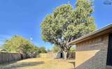 513 Bois Darc Street - Photo 13