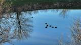 1570 Cr 383 - Photo 16