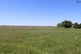 192 ACRES Fm 171 - Photo 11