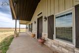 9118 Hall Road - Photo 2